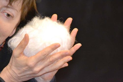 Le cocon de la chenille